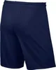 Nike Park Ii Knit Short Nb Midnight Navy/White M Náhled obrázku produktu 2