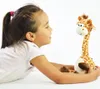 Labertier Giraffe GERTRUD tanzt und plappert alles nach mit Produktbild-Vorschau 6