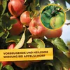 Solabiol® Netzschwefel für 37 Liter Gießwasser - 5 x 15 Produktbild-Vorschau 3