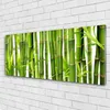 Acrylglasbilder 125x50 Wandbild Druck Bambusrohre Pflanzen Produktbild-Vorschau 2