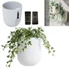 Pot de fleurs suspendu, support mural pour plantes, pot de Voir les images du produit 1