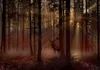 Selbstklebende Folie Fototapete - Mystical Forest - First Produktbild-Vorschau 5