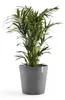 Pot de fleurs Ecopots Amsterdam 60 - L 59 cm x H 55,5 cm - Voir les images du produit 2