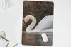MuchoWow® Mauspad Mousepad Schwan - Wasser - Tiere - Vogel Produktbild-Vorschau 5