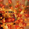 A close-up shot of decorative string lights shaped like maple leaves and pumpkins, draped over cushions. Náhled obrázku produktu