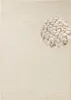 200x300 cm Tappeto a pezzi Wolly 102843 Anteprima dell’immagine prodotto 25
