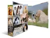 HERMA Motivordner "Animals" DIN A4 Hunde Produktbild-Vorschau 9