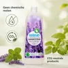 Detersivo piatti lavanda e menta 1 litro, sapone piatti Anteprima dell’immagine prodotto 5