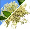 Herbs from Poland Holunderblüten - Getrocknet und Produktbild-Vorschau 2