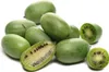 Großrüchtige Bayern-Kiwi `Super Jumbo´ (Actinidia arguta) - Produktbild-Vorschau 1