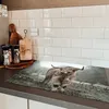KitchenYeah© Herdabdeckplatte Schottische Highlander - Produktbild-Vorschau 5