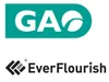 Two logos are displayed on a white background. The top logo is a teal rectangle with white text 'GAO' and a white graphic of a circle with a leaf shape inside. The bottom logo is black and white with the text 'EverFlourish' and a small registered trademark Produktbild-Vorschau