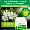Purgrün Frangipani-Dünger 1 Liter, Produktbild-Vorschau 4