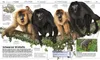 Wissen. Tiere Produktbild-Vorschau 7
