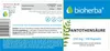 Bioherba Pantothensäure 250 mg 100 Kapseln Produktbild-Vorschau 2