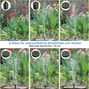 Solar Springbrunnen, Gartenbrunnen, Solarbrunnen, Produktbild-Vorschau 4