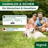 SC-Nematoden gegen Maulwurfsgrillen und Wiesenschnaken - 10 Produktbild-Vorschau 6