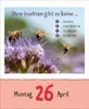 Korsch Kalender 2027 Vorsicht Geheimwissen – Produktbild-Vorschau 11