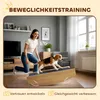 PawHut, altalena 2-in-1 per cani, struttura per agility per Anteprima dell’immagine prodotto 7