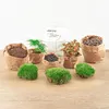 Flaschengarten Dome Glaskugel DIY-Pflanzenterrarium 20 cm Produktbild-Vorschau 4