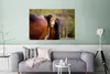 MuchoWow® Poster Pferde - Natur - Braun 120x80 cm - Bilder Produktbild-Vorschau 5