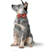 Hunter Halsband-Fliege Paris rot. Produktbild-Vorschau 10