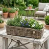 Panier à plantes en rotin naturel avec film plastique, pour Voir les images du produit 6