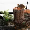 Repti-Zoo Albero filtro per tartarughe - isola e filtro Anteprima dell’immagine prodotto 3