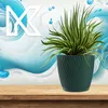 KADAX doniczka ze spodkiem "Tubas", doniczka, plastikowa Podgląd zdjęcia produktu 7