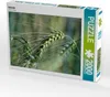 CALVENDO Puzzle Getreide 2000 Teile Puzzle quer | 2000 Produktbild-Vorschau 2