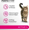 PERFECT FIT™ Katze Beutel Active 1+ mit Rind 7kg Produktbild-Vorschau 2