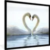 MuchoWow® Gerahmtes Poster Schwäne - Herz - Ehepaar 40x40 Produktbild-Vorschau 1