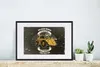 MuchoWow® MuchoWow® Gerahmtes Poster Bulldozer - Vintage - Produktbild-Vorschau 4