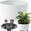 A white planter with a plant and a separate drainage tray. Náhled obrázku produktu