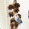 20cm Papageienständer Aus Holz Mit Kauspielzeug, Produktbild-Vorschau 3