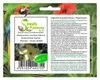5x Abelmoschus manihot Maniok Bisameibisch Garten Pflanzen Produktbild-Vorschau 1