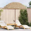 vidaXL Ombrellone da spiaggia, 205 x 205 x 210 cm, Anteprima dell’immagine prodotto 1
