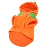 Kürbis-Hundekleidung,Halloween-Kürbis-Hundekleidung,Hunde-Wi Produktbild-Vorschau 7