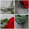Bild auf Leinwand - Leinwandbild - Blume Holz Pflanze - Produktbild-Vorschau 8