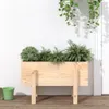 vidaXL Sadzarka 62x30x38 cm z litego drewna sosnowego Podgląd zdjęcia produktu 2