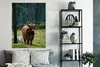 MuchoWow® Poster Schottischer Hochländer - Wald - Moos Produktbild-Vorschau 4