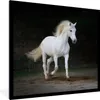 MuchoWow® Gerahmtes Poster Pferde - Sand - Dunkel 40x40 cm Produktbild-Vorschau 1