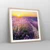 Gerahmtes Poster - Rahmen in heller Eiche - Feld Lavendel Produktbild-Vorschau 8