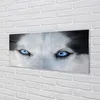 Glasbilder 125x50 Wandkunst Wolf Augen Produktbild-Vorschau 2