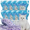 CARLOS Silikonowy bezwonny żwirek dla kota 8 x 3,8 l Podgląd zdjęcia produktu 1