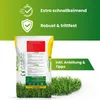 Greenyp® Berliner Tiergarten I robuster & schnellkeimender Produktbild-Vorschau 2