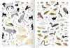Naturforscher-Kids - Stickerheft Heimische Tierwelt Produktbild-Vorschau 7