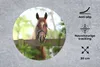 MuchoWow® Mauspad Mousepad Pferd - Natur - Zaun 30x30 cm - Produktbild-Vorschau 2