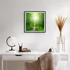 Gerahmtes Poster - Schwarzer Rahmen - Sonnenstrahlen Wald Produktbild-Vorschau 6