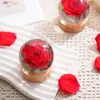 Rozen in Harsbal - Unieke Decoratie - Echte Rozen - Productafbeelding-voorbeeld 4